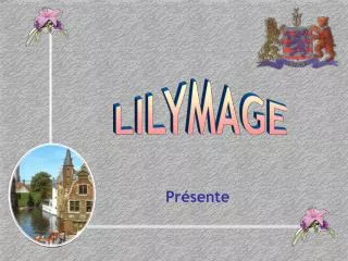 LILYMAGE