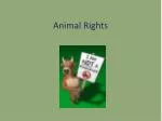 PPT - Animal Rights PowerPoint Presentation, free download - ID:2218131