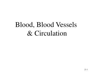 Blood, Blood Vessels &amp; Circulation