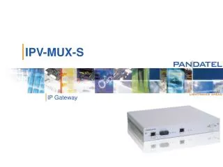 IPV-MUX-S