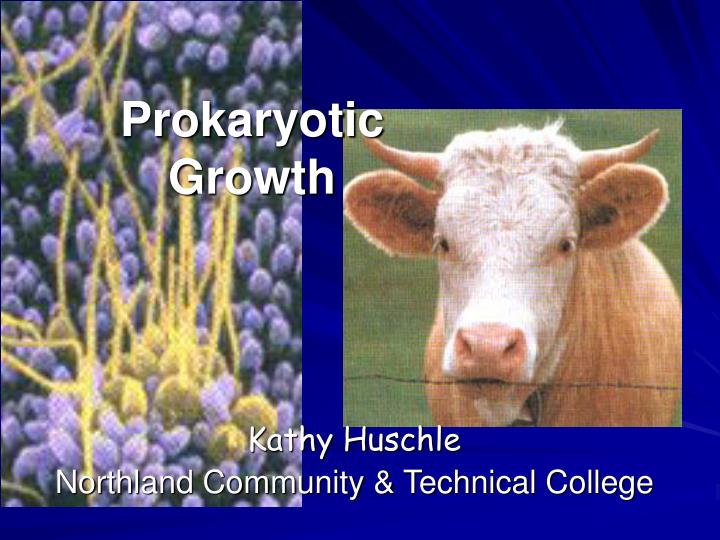 prokaryotic growth