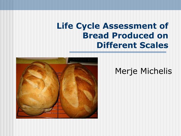 life cycle assessment of bread produced on different scales