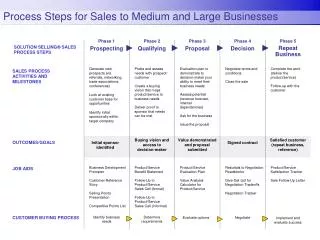 Process Steps for Sales to Medium and Large Businesses
