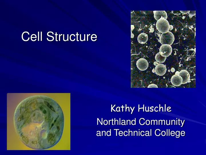 cell structure