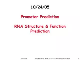 10/24/05 Promoter Prediction RNA Structure &amp; Function Prediction