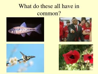 What do these all have in common?