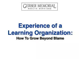 Experience of a Learning Organization: How To Grow Beyond Blame