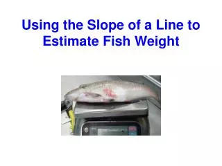 Using the Slope of a Line to Estimate Fish Weight