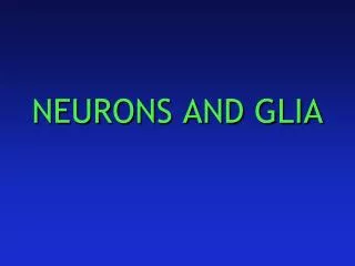 NEURONS AND GLIA