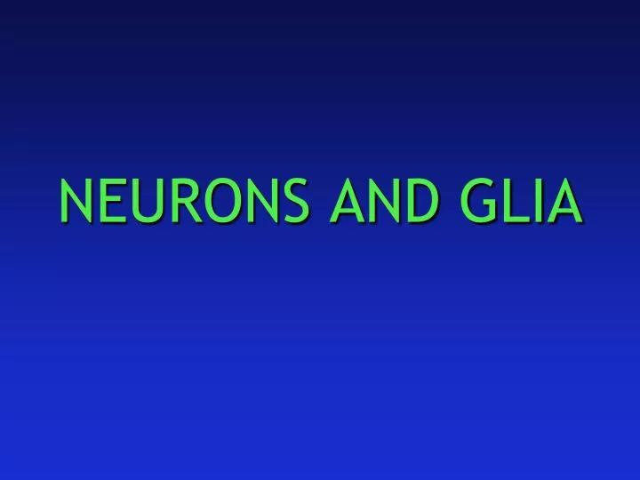 neurons and glia