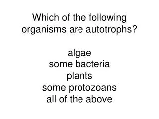 Which of the following organisms are autotrophs? algae some bacteria plants some protozoans all of the above