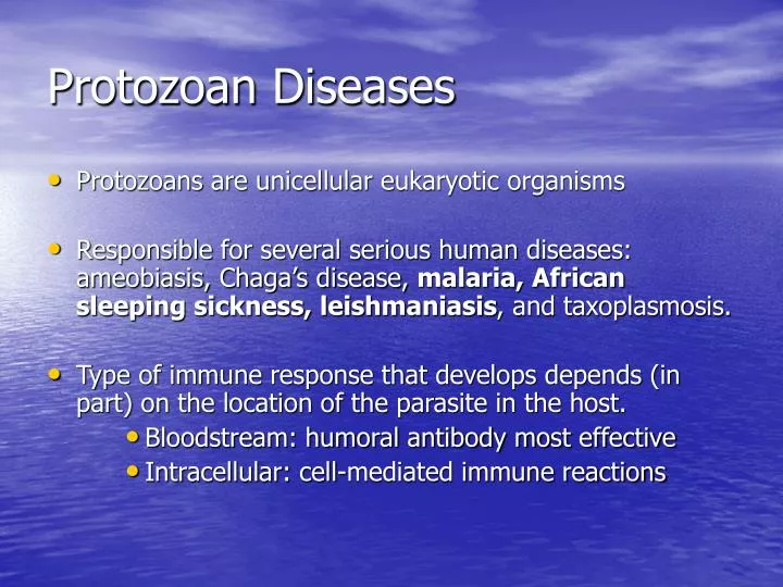 protozoan diseases