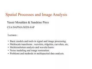 Spatial Processes and Image Analysis