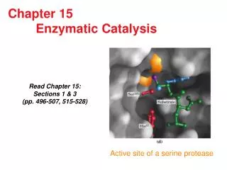 Chapter 15 Enzymatic Catalysis