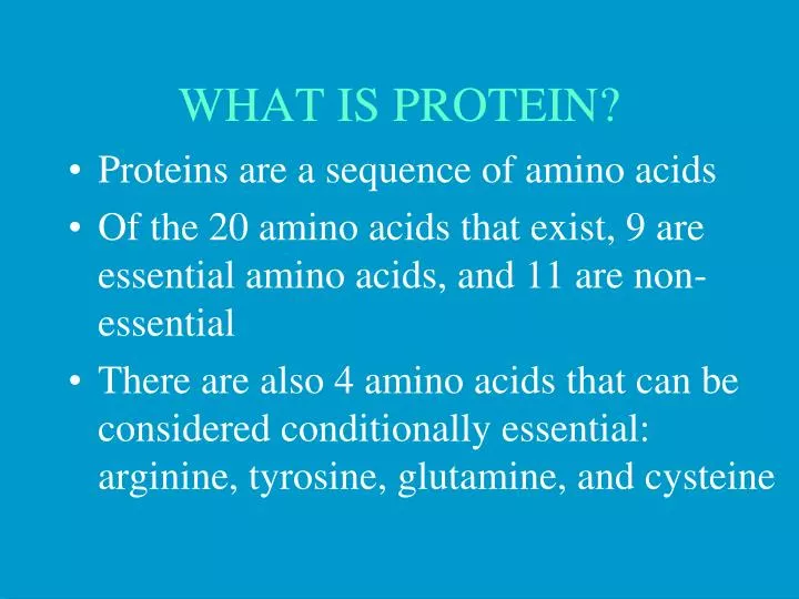 what is protein