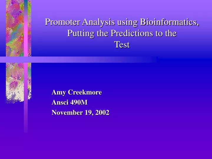 promoter analysis using bioinformatics putting the predictions to the test