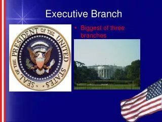 Executive Branch