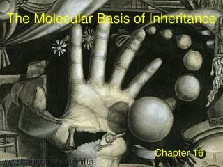 the molecular basis of inheritance