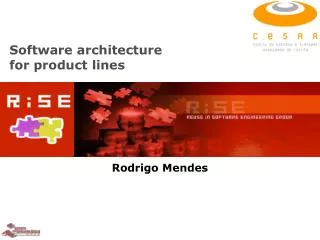 Software architecture for product lines