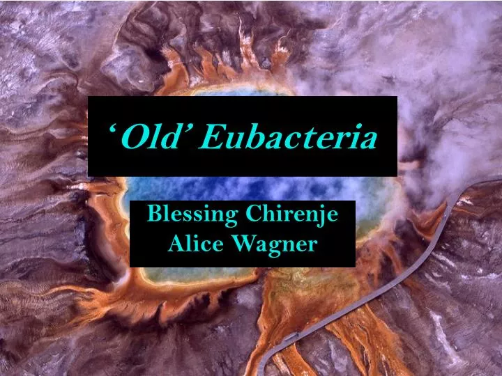 old eubacteria