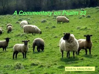 A Commentary on Psalm 23
