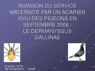 INVASION DU SERVICE MATERNITE PAR UN ACARIEN ISSU DES PIGEONS EN SEPTEMBRE 2006 : LE DERMANYSSUS GALLINAE