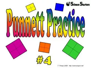 Punnett Practice