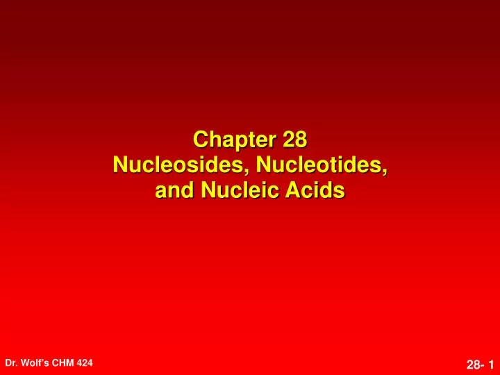 chapter 28 nucleosides nucleotides and nucleic acids