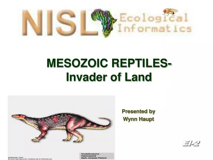 mesozoic reptiles invader of land