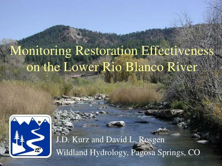 monitoring restoration effectiveness on the lower rio blanco river