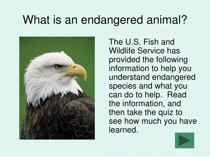 what is an endangered animal