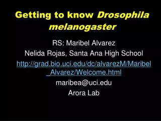 Getting to know Drosophila melanogaster