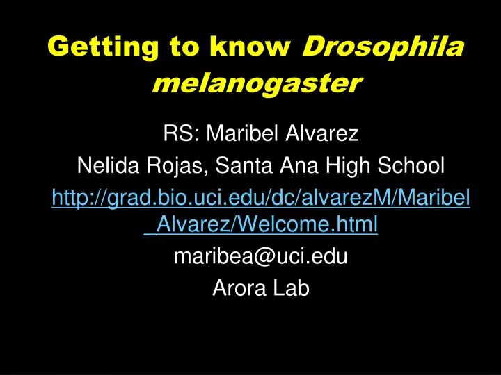 getting to know drosophila melanogaster