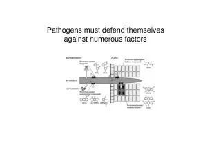 Pathogens must defend themselves against numerous factors