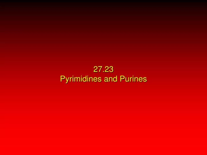 27 23 pyrimidines and purines