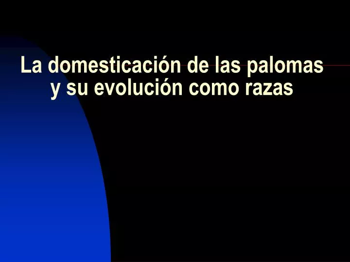 la domesticaci n de las palomas y su evoluci n como razas