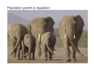 Population growth &amp; regulation