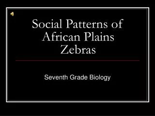 Social Patterns of African Plains Zebras