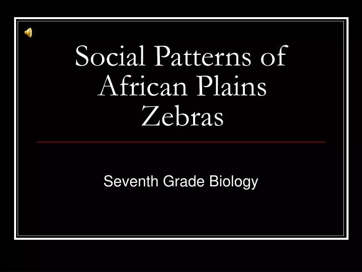 social patterns of african plains zebras