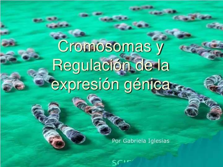 cromosomas y regulaci n de la expresi n g nica