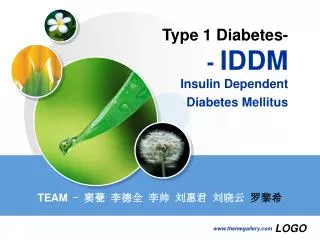 Type 1 Diabetes- - IDDM Insulin Dependent Diabetes Mellitus