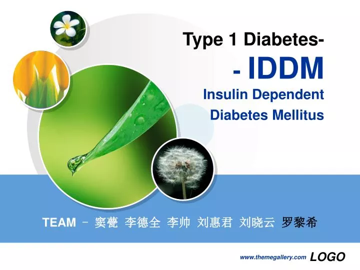 type 1 diabetes iddm insulin dependent diabetes mellitus