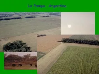 La Pampa. Argentina