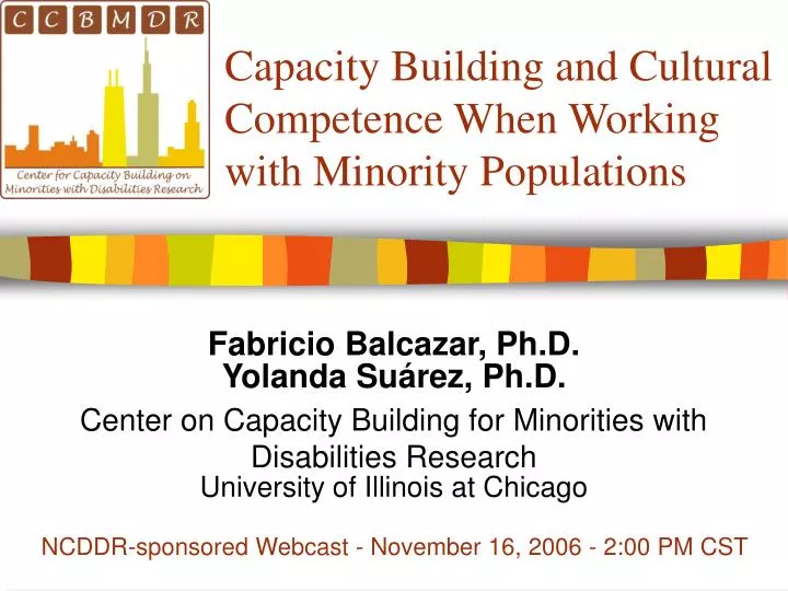 capacity building and cultural competence when working with minority populations