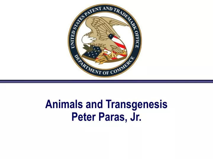 animals and transgenesis peter paras jr
