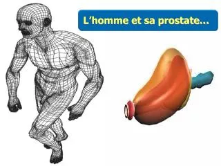 L’homme et sa prostate…