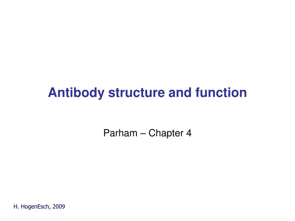PPT - Antibody structure and function PowerPoint Presentation, free ...