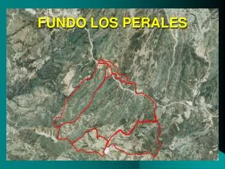 fundo los perales