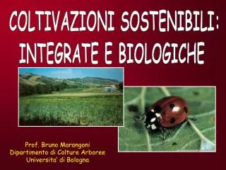 Prof. Bruno Marangoni Dipartimento di Colture Arboree Universita’ di Bologna