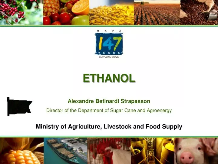 ethanol alexandre betinardi strapasson director of the department of sugar cane and agroenergy